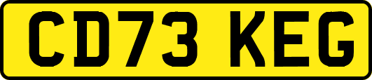CD73KEG