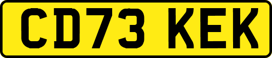 CD73KEK