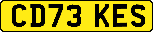 CD73KES