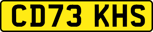 CD73KHS