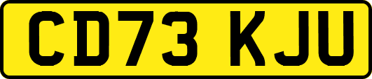 CD73KJU