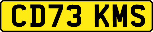 CD73KMS