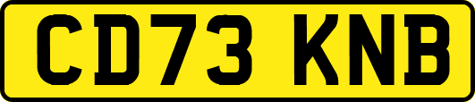 CD73KNB