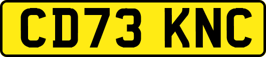 CD73KNC