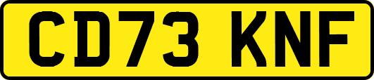 CD73KNF
