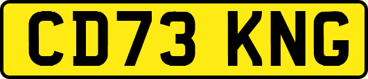 CD73KNG