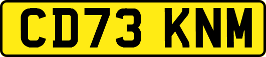 CD73KNM