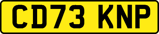 CD73KNP