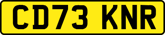 CD73KNR