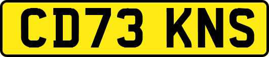 CD73KNS