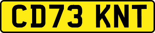 CD73KNT