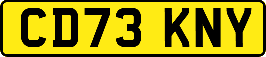 CD73KNY