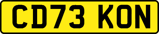 CD73KON