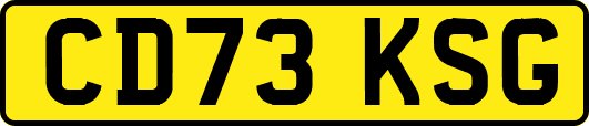 CD73KSG