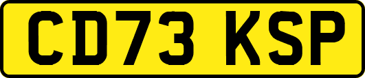 CD73KSP