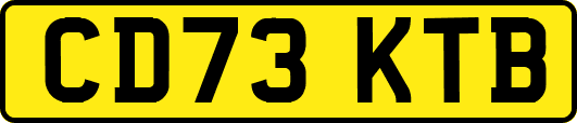 CD73KTB
