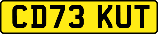 CD73KUT