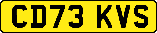 CD73KVS