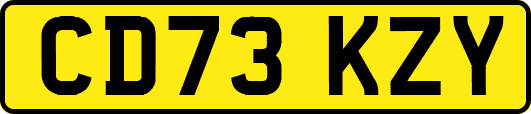 CD73KZY