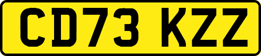 CD73KZZ