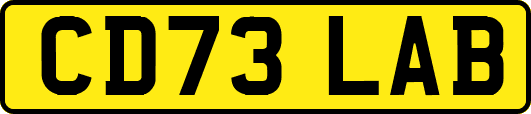 CD73LAB