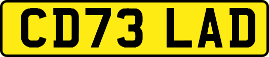 CD73LAD