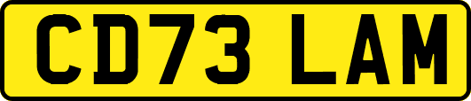 CD73LAM