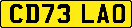 CD73LAO