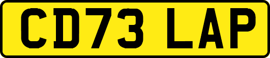 CD73LAP