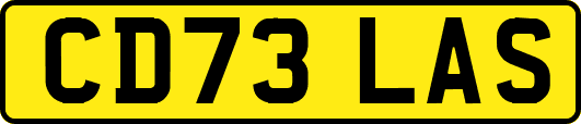 CD73LAS
