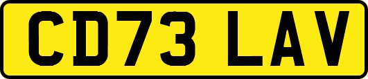 CD73LAV