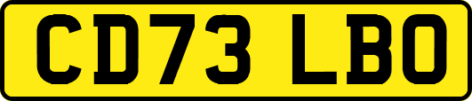 CD73LBO