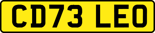 CD73LEO