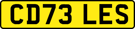 CD73LES