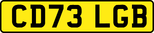 CD73LGB
