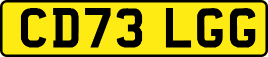 CD73LGG