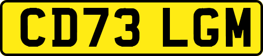 CD73LGM