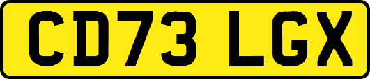 CD73LGX