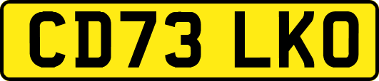 CD73LKO