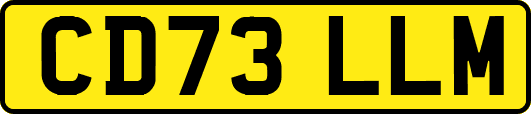 CD73LLM