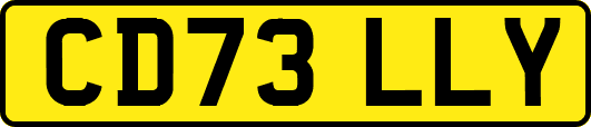 CD73LLY
