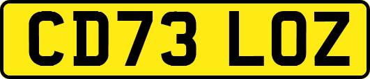 CD73LOZ