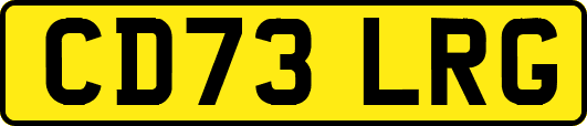 CD73LRG