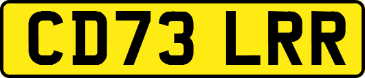 CD73LRR