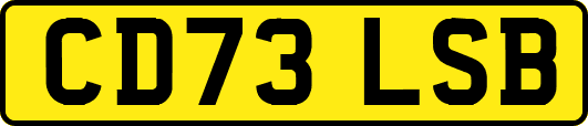 CD73LSB
