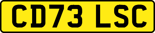 CD73LSC