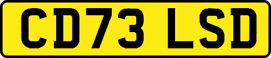 CD73LSD