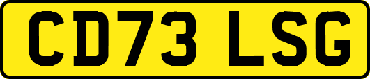 CD73LSG
