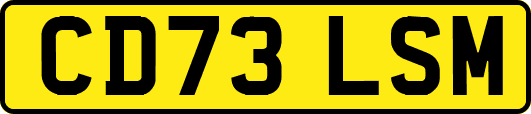 CD73LSM
