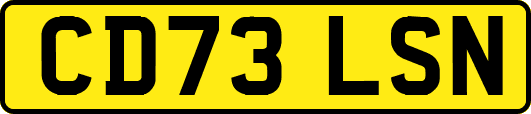 CD73LSN